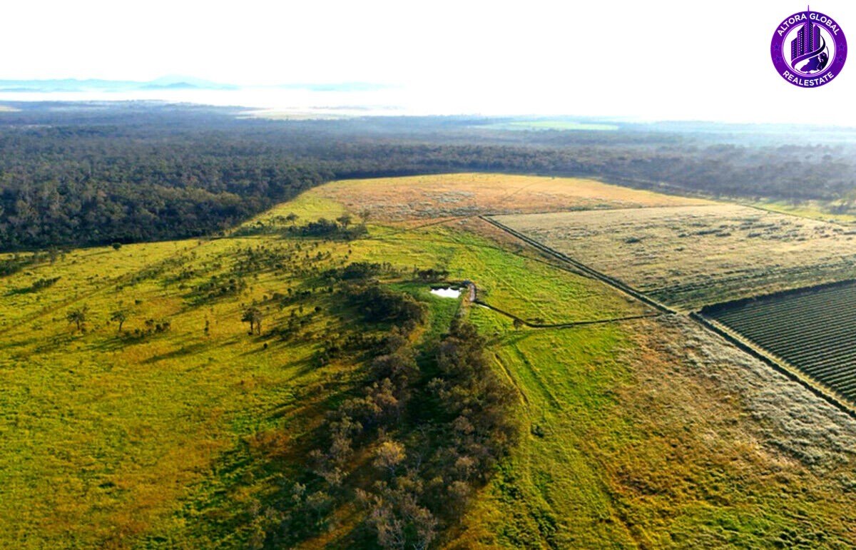 326 Springs Road, Paddys Green QLD 4880