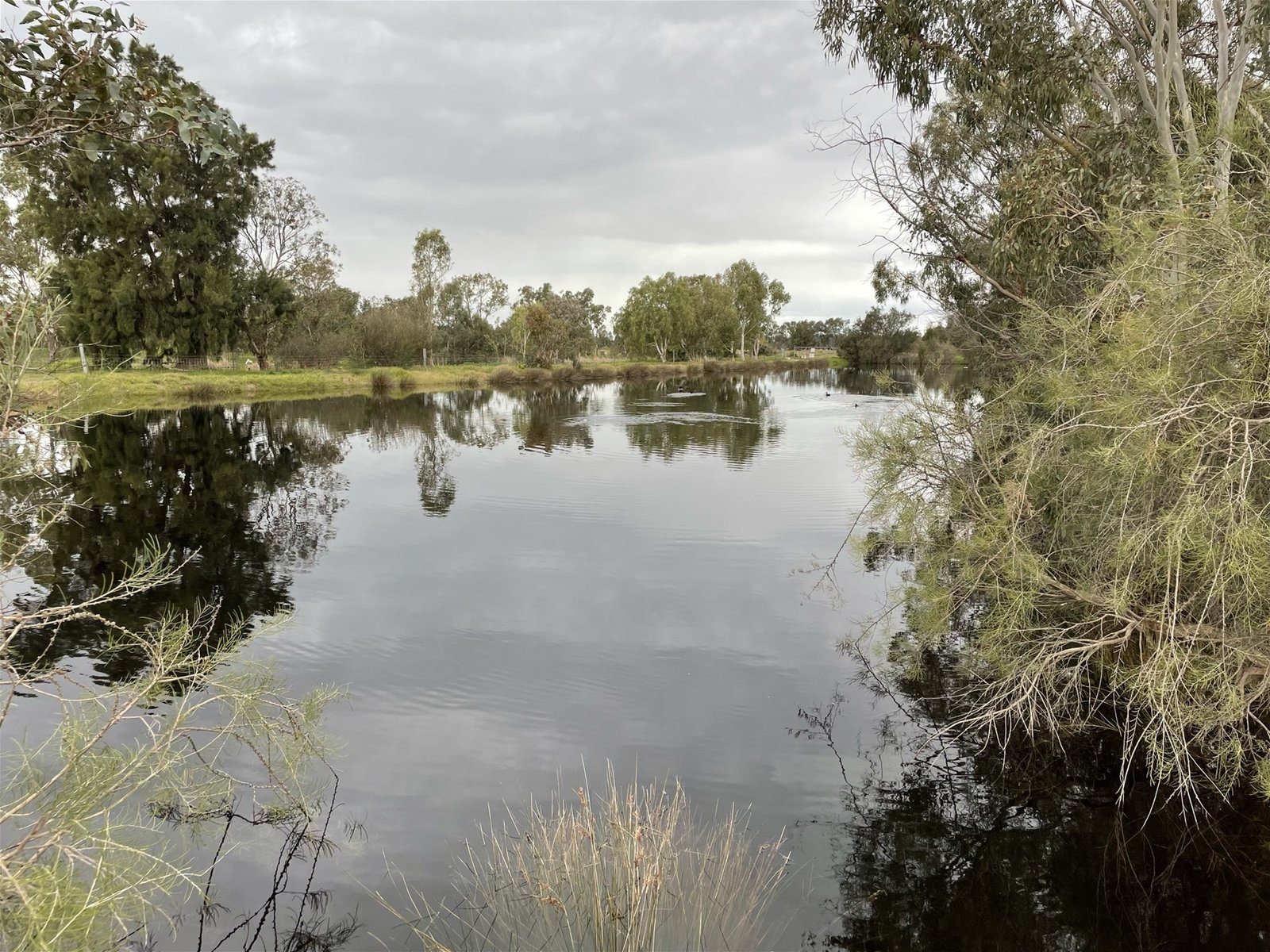 56 Pug Road BALDIVIS WA