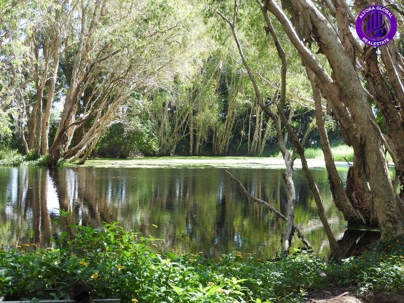 157 Apsley Way, Andergrove QLD 4740