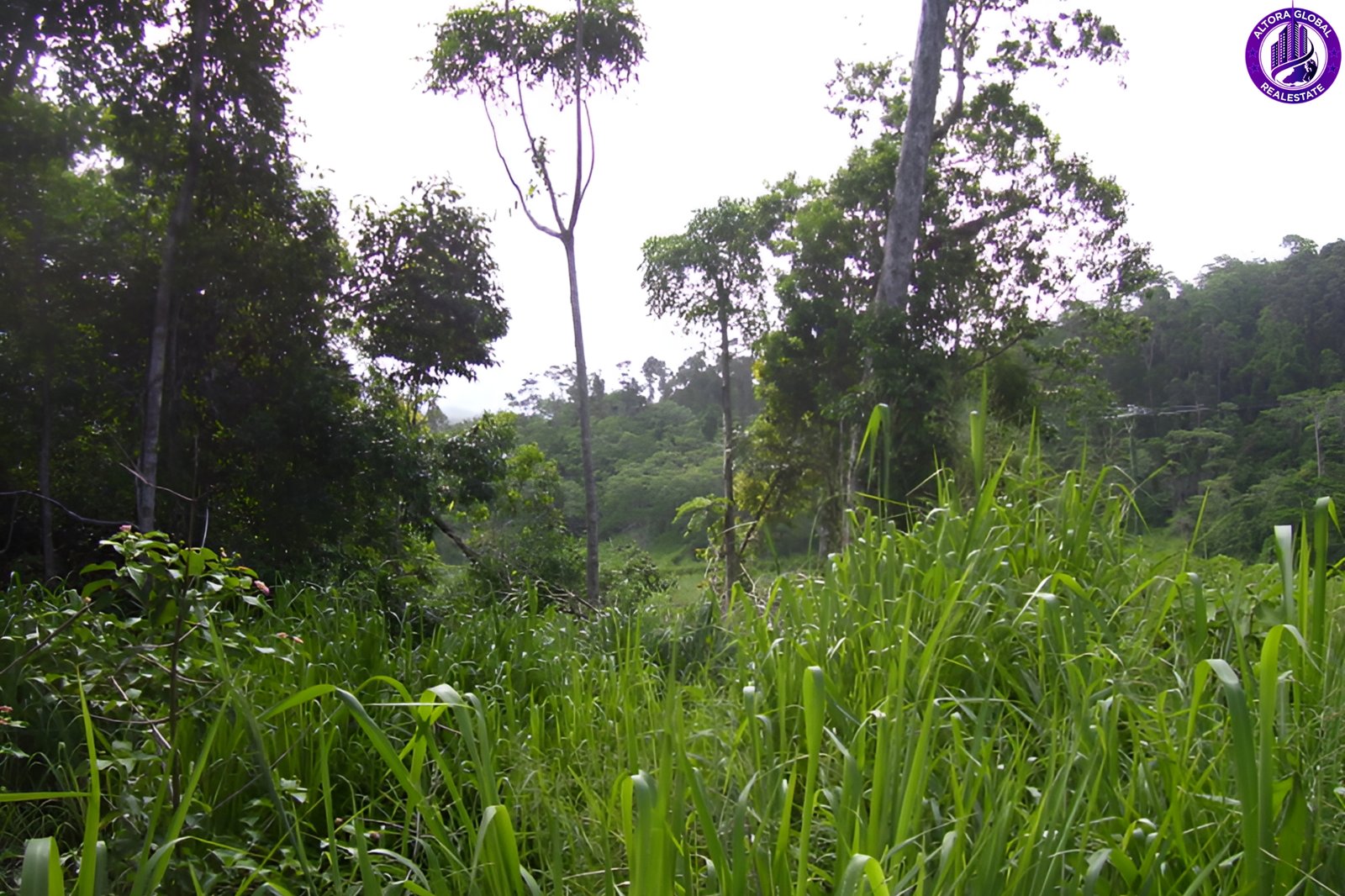 514 Dunwoody Road, Ball Bay, Qld 4741