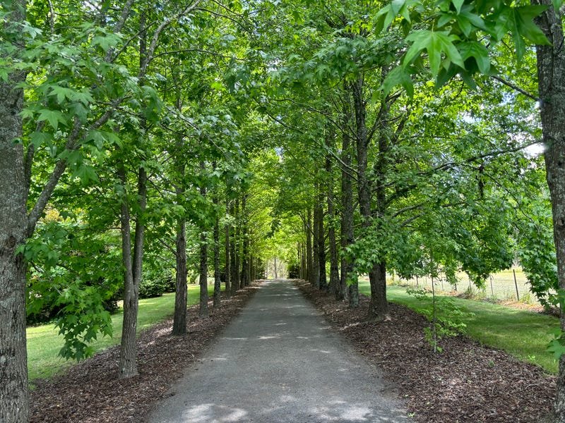 815 Ankers Road, Strathbogie, Vic 3666